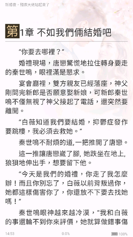 暖暖小说截图2