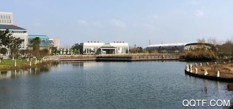 掌上成医[图3]