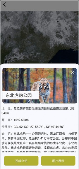 山水卫星地图[图2]