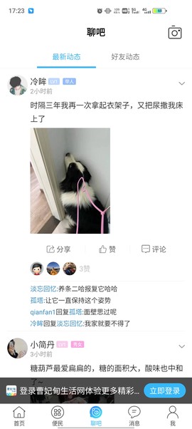 曹妃甸生活网截图1