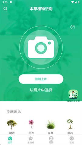 本草植物识别截图3