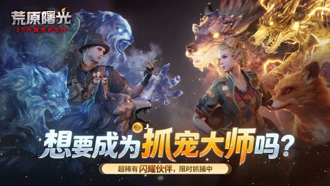 荒原曙光截图1