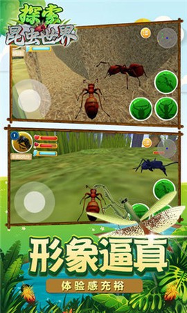 探索昆虫世界截图3