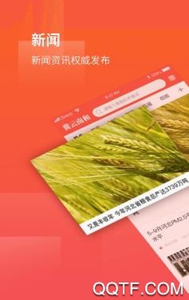 冀云南和[图2]