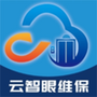 云智眼维保