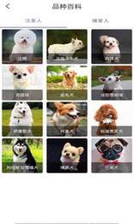 贝贝宠物百科截图1