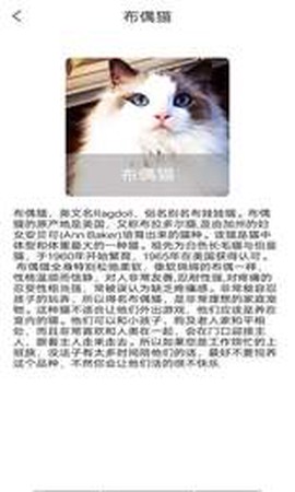 贝贝宠物百科截图3