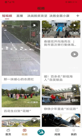 掌心临海截图3