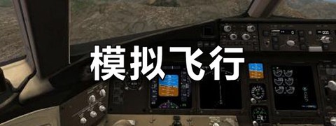 巅峰空中决战截图2