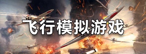 巅峰空中决战截图3
