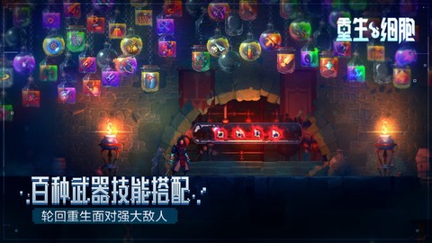 再生细胞截图3