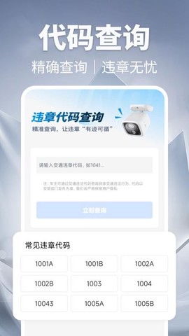 123违章迅查截图3