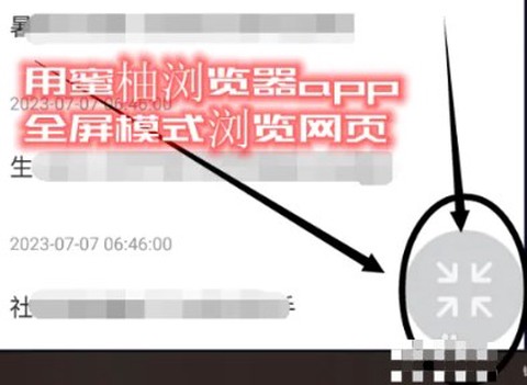 蜜柚浏览器[图3]