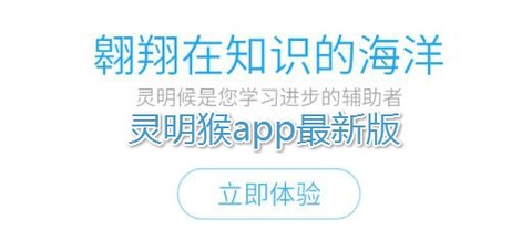 灵明猴[图1]