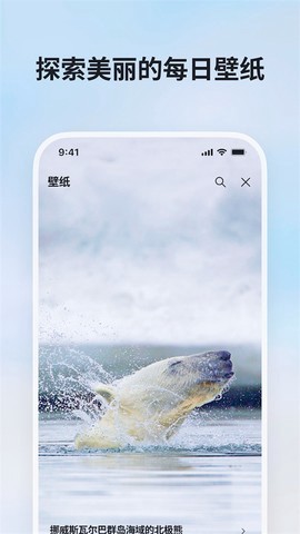 必应搜索国际版截图1