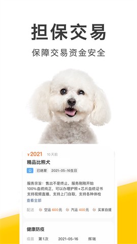 买只宠物截图3