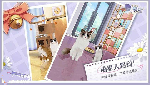 梦间集天鹅座[图2]