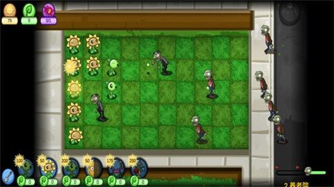 植物的战争截图1
