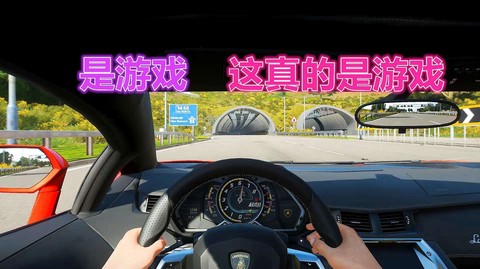 真实开车模拟器截图1