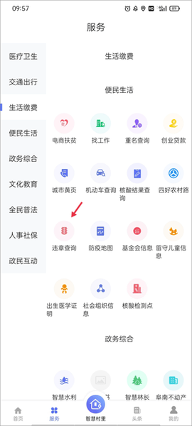 智慧阜南[图4]