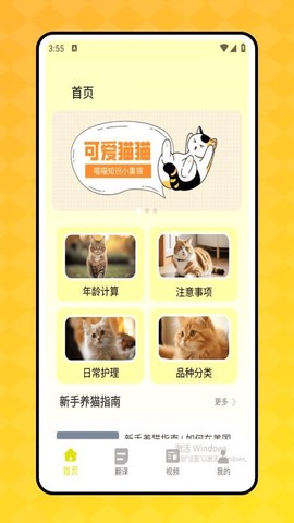 喵了个喵[图1]