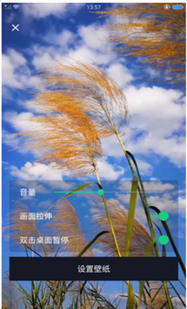 DK主题商店截图3