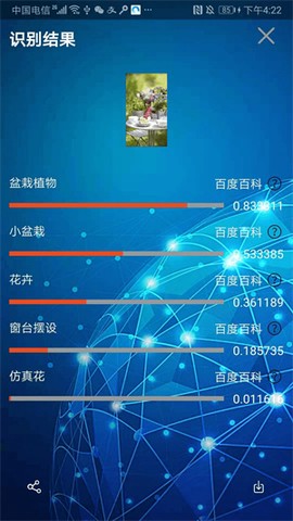 小鲸鱼[图3]