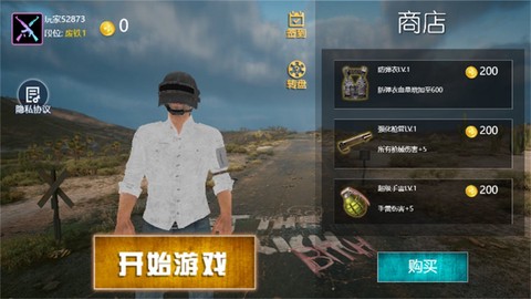 荣耀吃鸡求生战场截图3