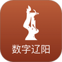 数字辽阳
