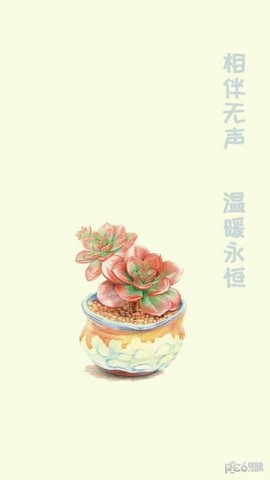 小墨多肉日记截图2