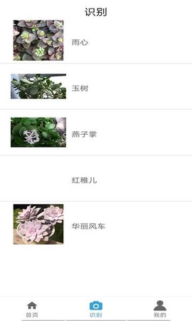 丛林宝典截图1