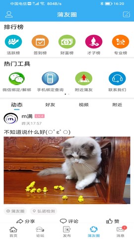 蒲公英截图3