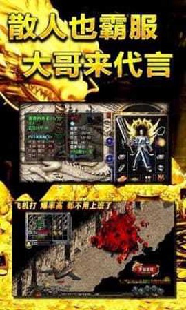 铁血骑士截图1