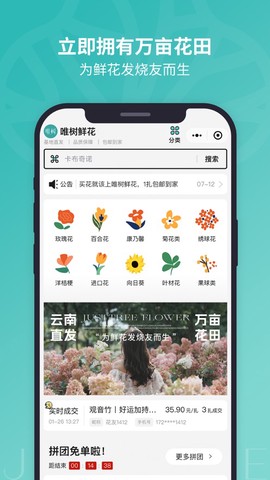 唯树鲜花截图1
