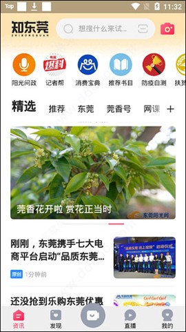知东莞[图5]