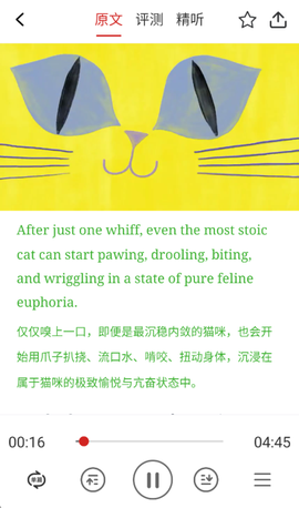 英语演讲[图2]
