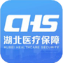 湖北智慧医保