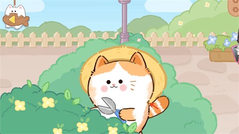 猫咪疗愈所[图3]