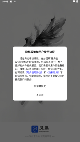 风鸟[图2]