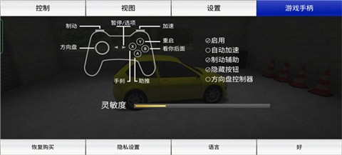 拉力赛车:极限竞速截图3
