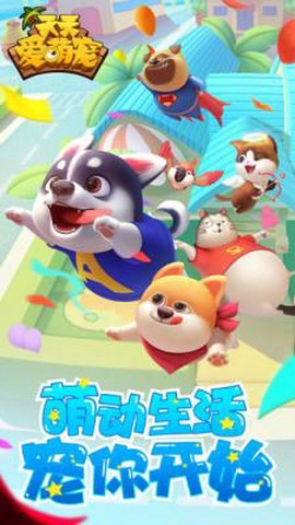 天天爱萌宠[图3]