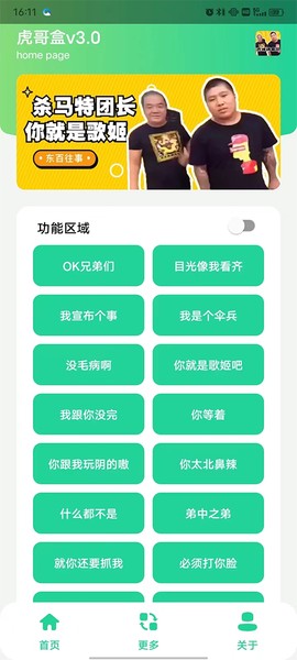 虎哥盒v3.0截图3