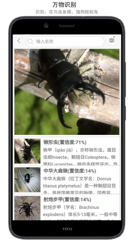 万物志截图1