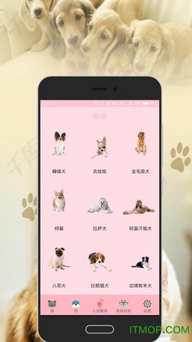 宠物趣味翻译器截图3