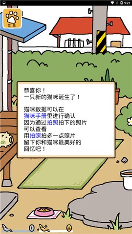 猫咪后院2安装包[图7]