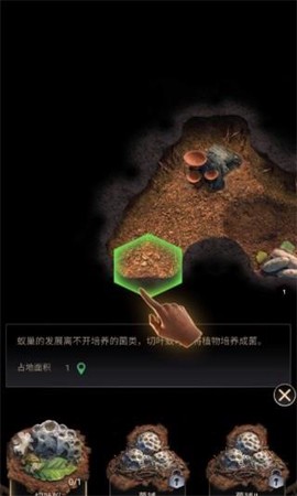 蚂蚁：地下王国[图1]