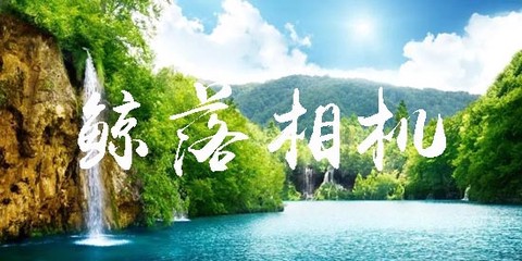 鲸落相机[图1]