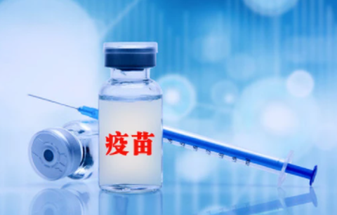 享约苗[图3]