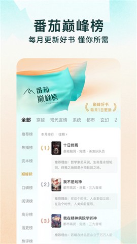 红果小说截图2