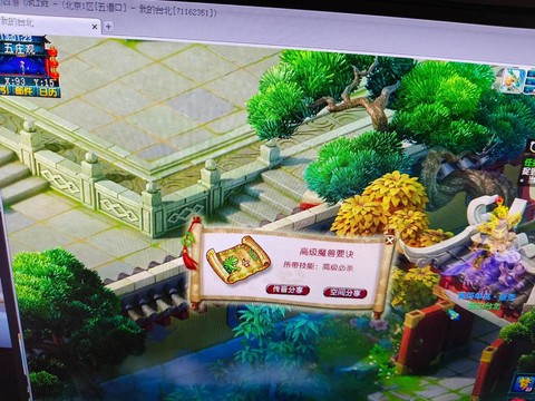 梦幻西游打图用什么打[图2]